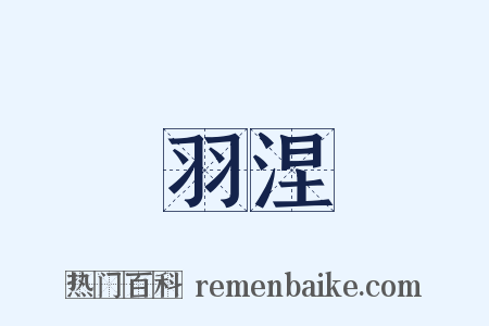 羽涅是什么意思的图片